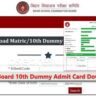 BSEB Dummy Admit Card 10th Bihar Board Download Link