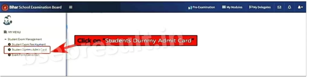 Bihar Inter Dummy Admit Card